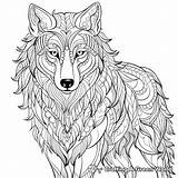Wolf Coloring Pages  Free & Printable sketch template
