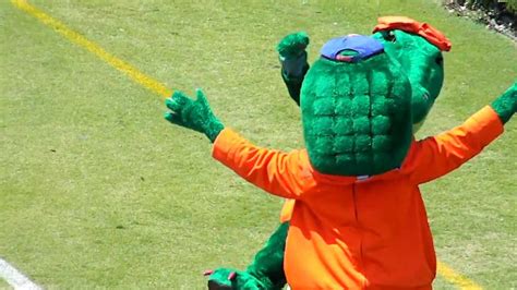 Florida Gator Mascots. - YouTube