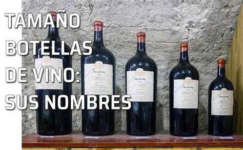 Las botellas de vino Sus nombres y tamaños