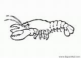 Lobster Trap Coloring Page Sketch sketch template