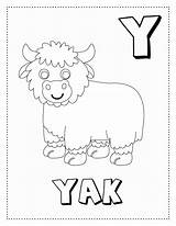 Premium Vector  Letter Y Is For yak coloring Page Book letter sketch template