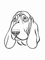 Happy Basset Hound coloring Page sketch template