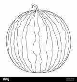 Fun And Simple watermelon coloring Page For Kids Adults Perfect  sketch template