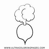 Beet Coloring Page  Ultra Pages sketch template