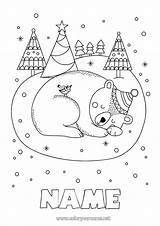 Coloring Page No547  Bear Snow Winter sketch template