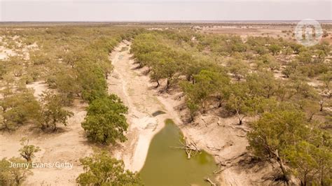 Management of Australia’s Murray–Darling basin deemed ‘negligent’