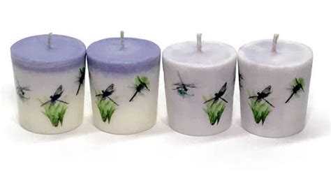 Dragonfly Decor Soy Candles Dragonfly Gift Nature Inspired | Dragonfly gifts, Dragonfly decor ...