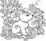 25  Amazing Picture Of Printable Animal Coloring Pages sketch template