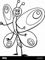 Butterfly Book Stock Vector Images  Alamy sketch template