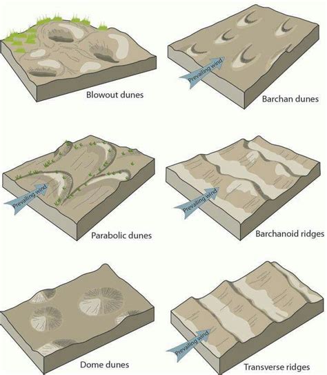 -Geology of the world and the environment- Types of sand dunes... | Geology, Landforms, Physical ...