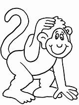 Simple Monkey coloring Page  Download Print Or Color Online For Free sketch template