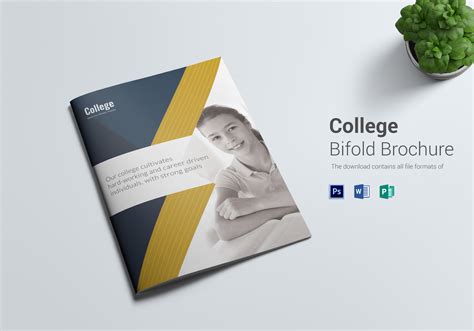 College Brochure Design Template in Word, PSD, Publisher