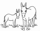 Dos Burros para colorear Imprimir E Dibujar – ColoringLib sketch template
