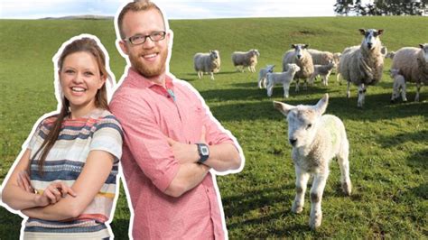 Lambs - CBeebies - BBC