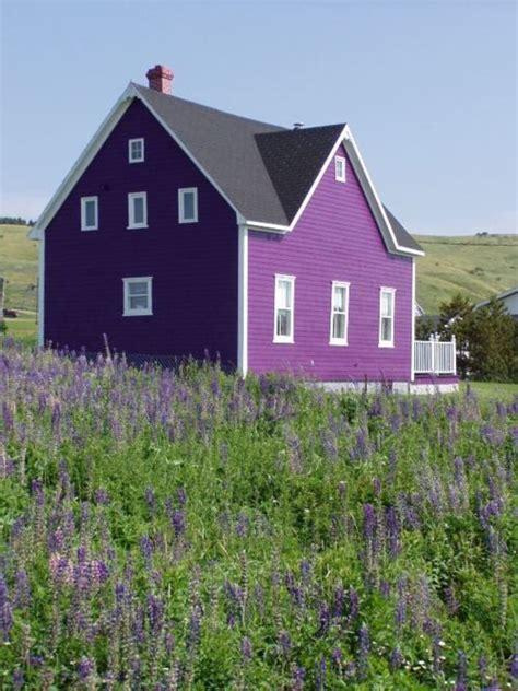 42 best Lavender Homes images on Pinterest | Purple houses, Dream houses and Violets