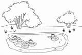 Fish Pond Coloring Page sketch template