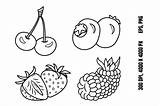 Set Of Ripe Berries For Coloring Pages Graphic By YuliDor · Creative  sketch template