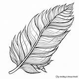 Feather Coloring Pages  Free & Printable sketch template