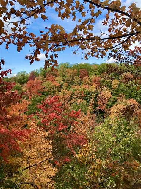 My Favourite Places to See Fall Foliage in Southern Ontario - Trips to ...