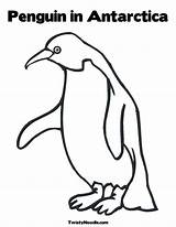 Adelie Penguin Coloring Page  Richard A McKinney sketch template