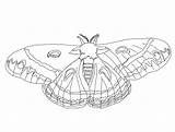 Moth Coloring Pages For Kids sketch template