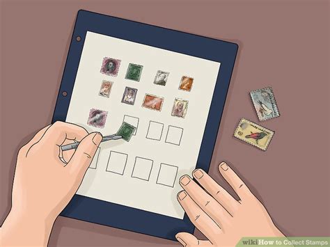 How to Collect Stamps (with Pictures) - wikiHow