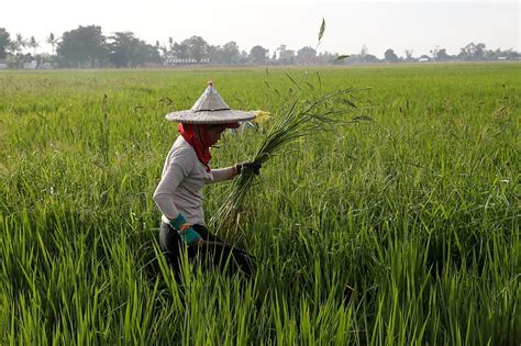 U.S. Dept. of Agriculture on Flipboard | U.S. Government, Gardening ...