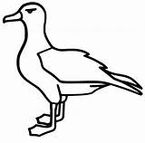 Printable Albatross Coloring Page  Free Coloring Pages For Kids sketch template