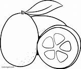 Lemon Coloring Pages 13 Free Printables  ColoringAll sketch template