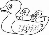 Ducky Drawing At GetDrawings  Free Download sketch template