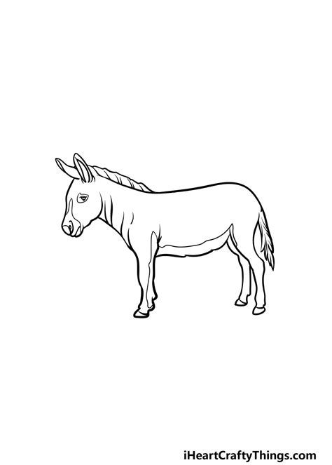 Donkey Drawing - How To Draw A Donkey Step By Step