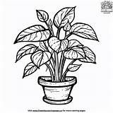 Small Potted Plant Coloring Pages For Kids sketch template