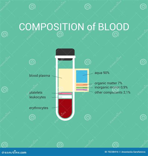 The Composition of Human Blood in Vitro Composition Plasma Stock Vector ...