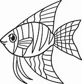 Angelfish Coloring Pages sketch template