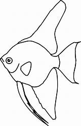Angel Fish Coloring Page  Wecoloringpagecom sketch template