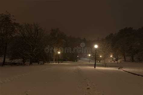 Night in a Snowy Park. Slottsskogen, Gothenburg, Sweden Stock Photo ...