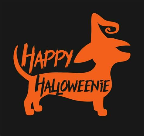 Halloween | Dachshund love, Dog halloween, Dachshund art