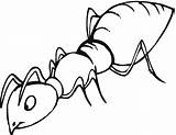 Free Printable Ant Coloring Pages For Kids sketch template