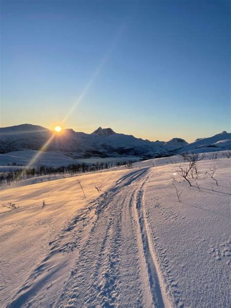 Senja Island: Winter Light And Snowshoeing