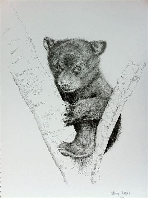 sketching bear cubs | Bear Cub Sketch | Tattoos | Pinterest | Sketching ...