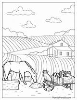 Fazenda Para Colorir  40 Desenhos Fofos Imprimir sketch template