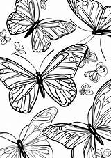 Free Printable Adult Coloring Pages  Page Owl Mandala sketch template