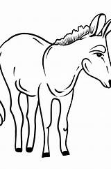 Ezel Esel Kleurplaat Kleurplaten Donkey Ezels Malvorlage  sketch template