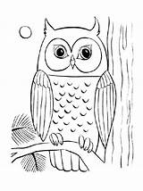 Baby Owl Coloring Pages At GetColoringscom  Free Printable Colorings sketch template