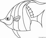 Cute Angel Fish Coloring Pages sketch template