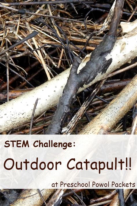 STEM Challenge: Build a Catapult with Outdoor Materials Science ...