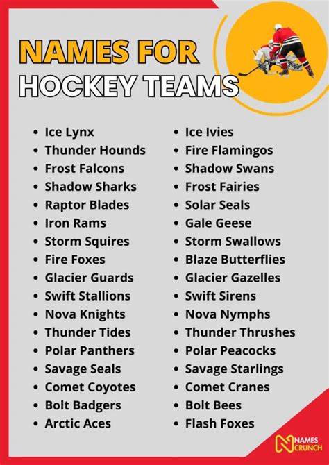 490+ Best Names for Hockey Teams - Names Crunch