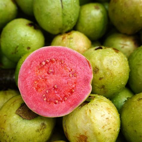 Benefits of Guava Fruit, Guava Juice, and How to Eat Guava