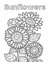 Sunflower Coloring Pages For Kids sketch template