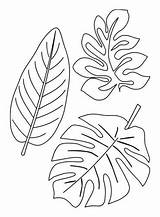 Set tropical leaves  Coloring Page sketch template